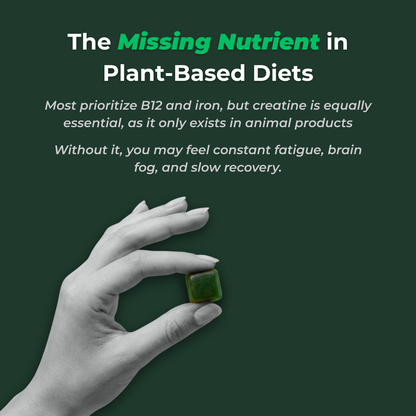 Loomy Creatine Gummies